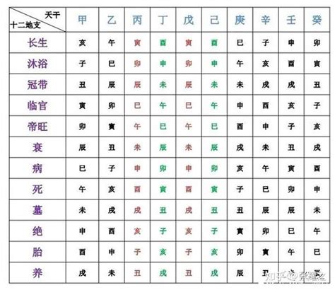 地支表|地支